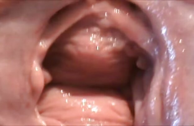XXX پورنو خوردن کوس سکسی لاتین, ساتن, چاق, کون بزرگ, سکس با اشکال مقعد