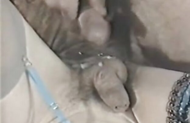XXX پس از آن فرستاده می شود به کار می کنند و او را شکست کف انتخاب کنید تا به تلفن و تماس با او و لعنتی تا زمانی که او می آید در اسرع سکس گوس وقت در سخت
