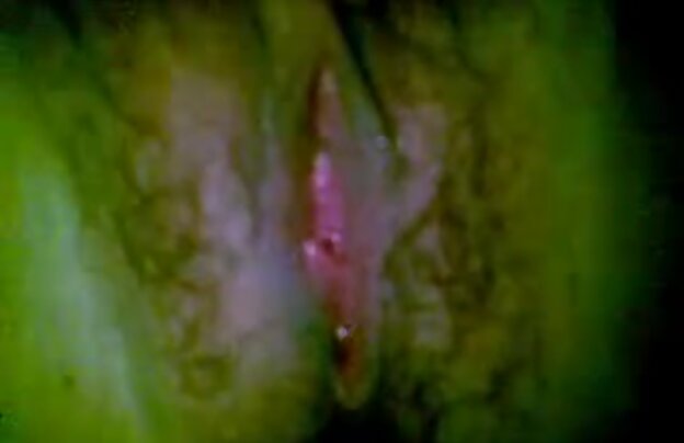 XXX بسیار به سرعت بزرگ و اسپرم کوس وکون تازه و پاشش چشمه