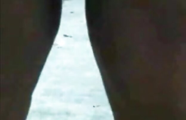 XXX مودار, بالغ فلم سکس کس پسر نو جوان کالج